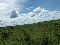 Fazenda em Primavera-mt